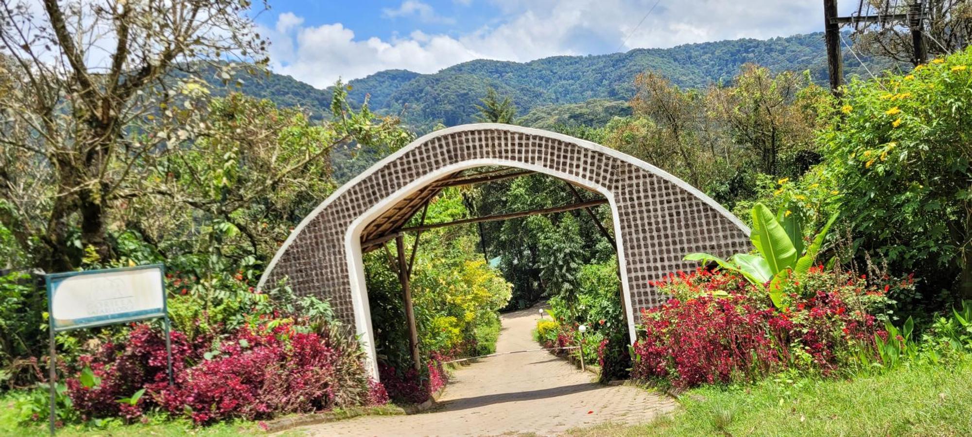 Gorilla Safari Lodge Rubuguli Exteriér fotografie