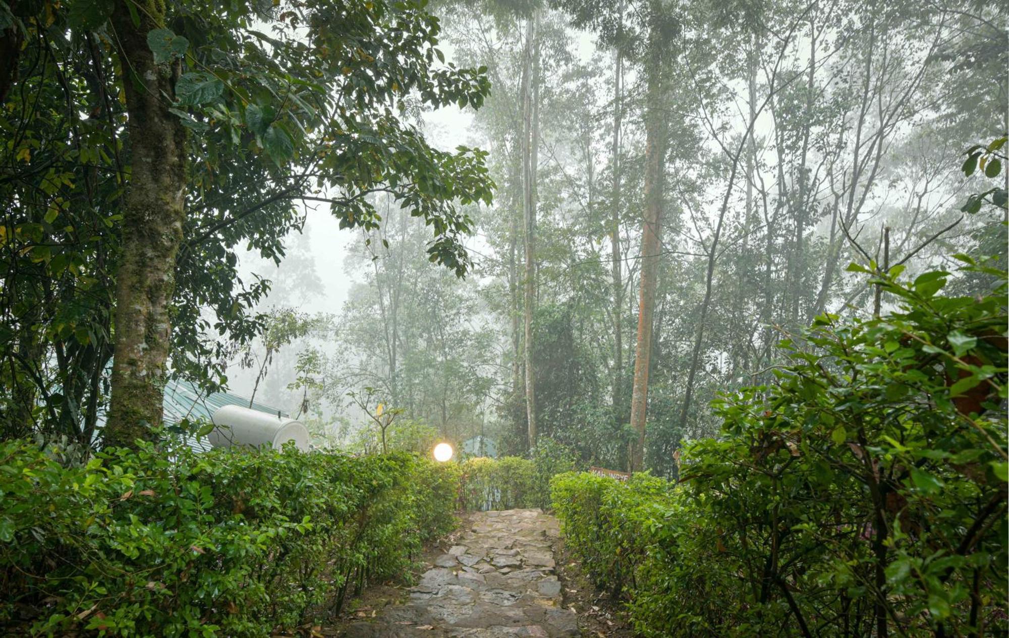 Gorilla Safari Lodge Rubuguli Exteriér fotografie