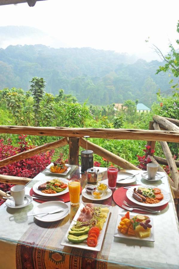 Gorilla Safari Lodge Rubuguli Exteriér fotografie