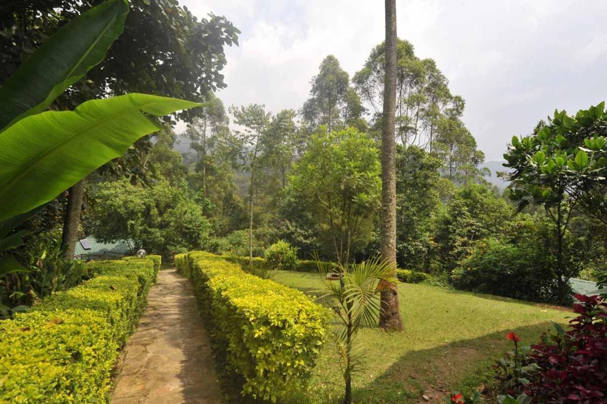 Gorilla Safari Lodge Rubuguli Exteriér fotografie
